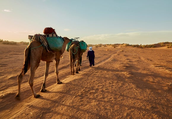 Much more than a desert: A trip into the Sahara